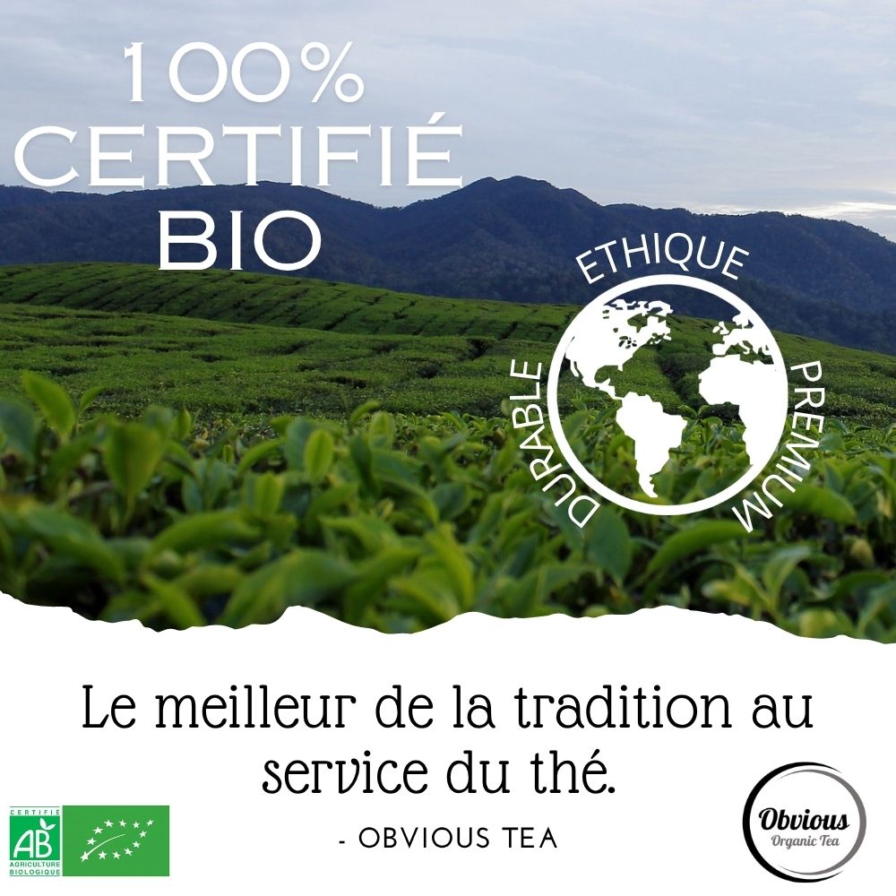 Lapsang Souchong Bio