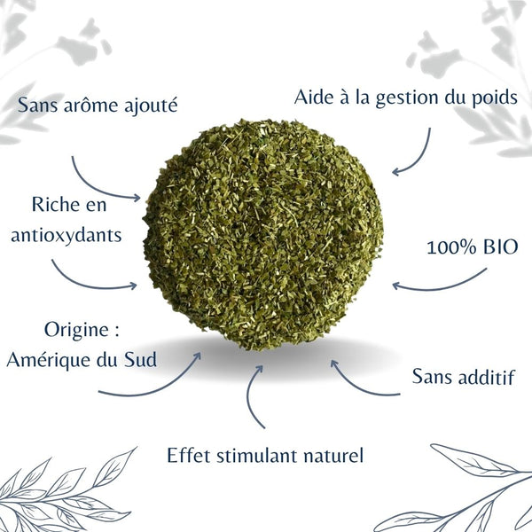 Yerba Maté Bio