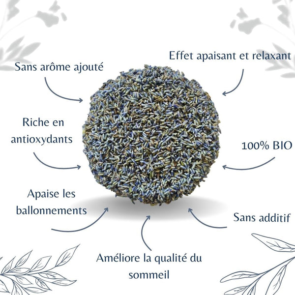 Lavande Bio