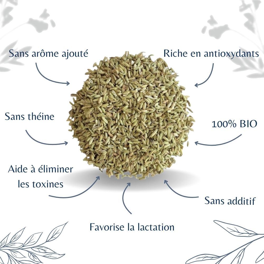 Fenouil Bio