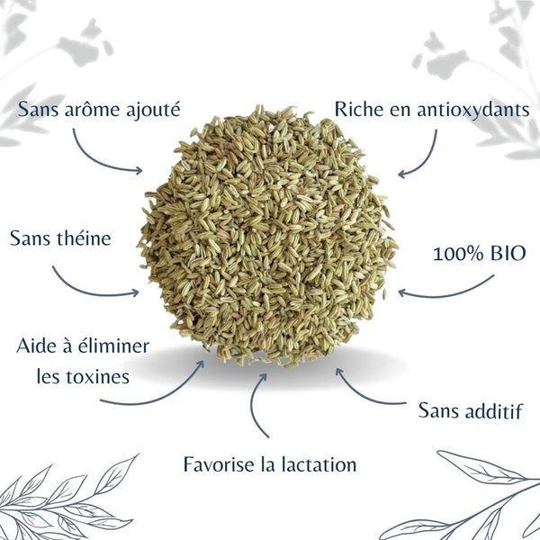 Fenouil Bio