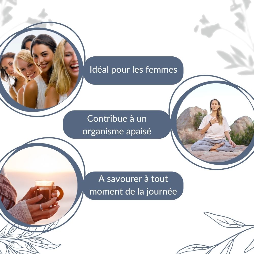 Fenouil Bio