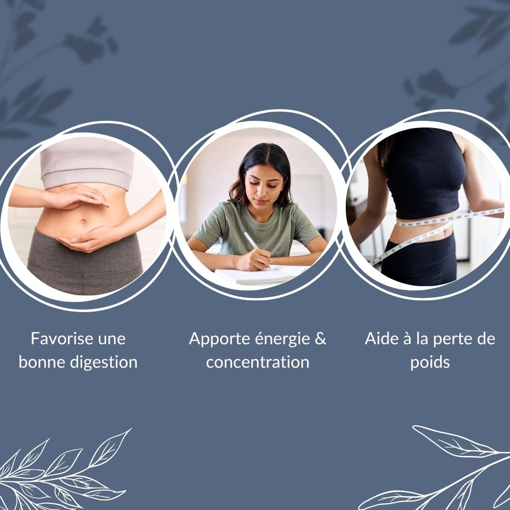 Thé Oolong Shui Bio