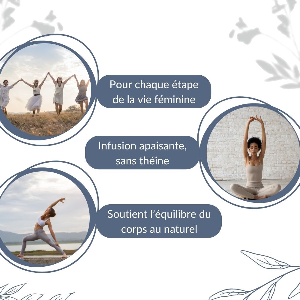 Feuilles de Framboisier Bio