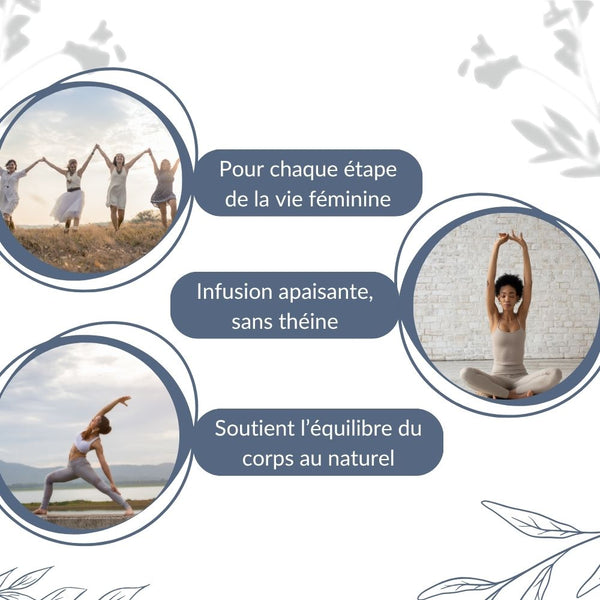 Feuilles de Framboisier Bio