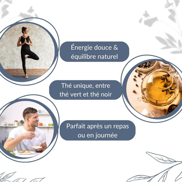 Thé Oolong Shui Bio