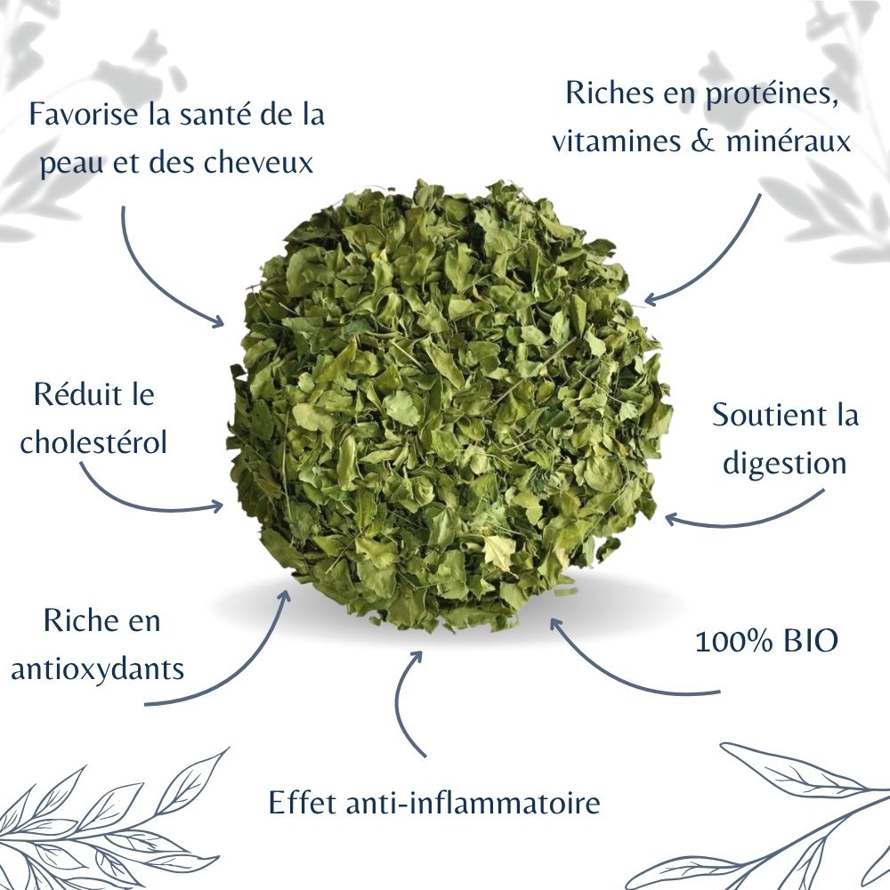 Moringa Bio