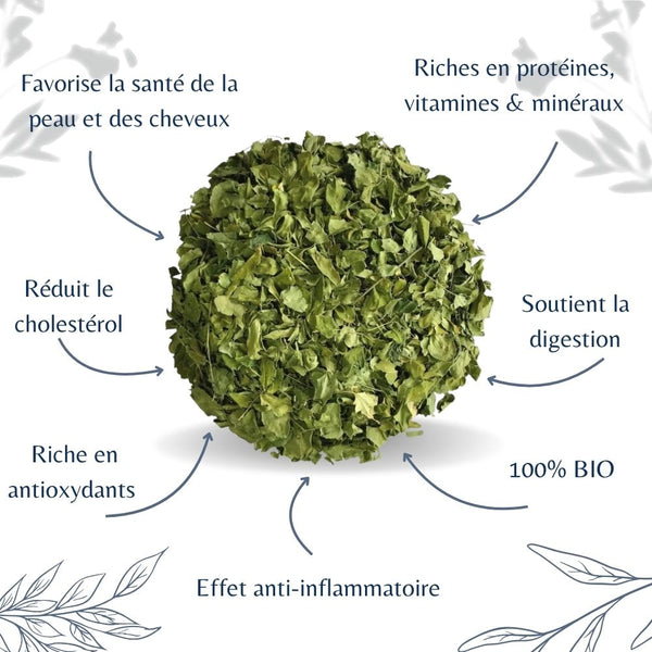 Moringa Bio