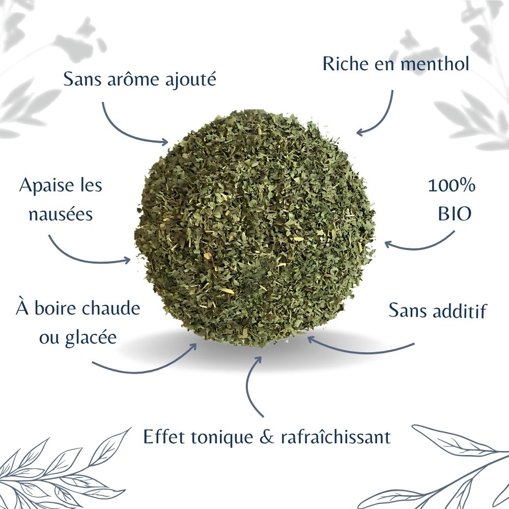 Menthe Poivrée Bio