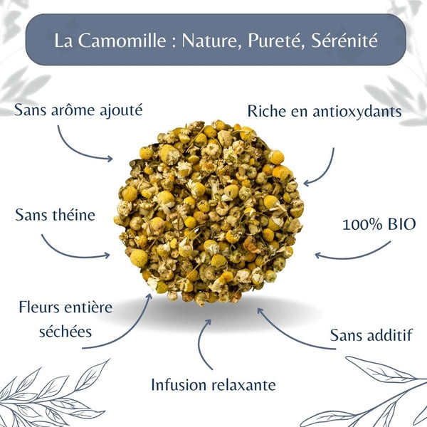 Camomille Bio