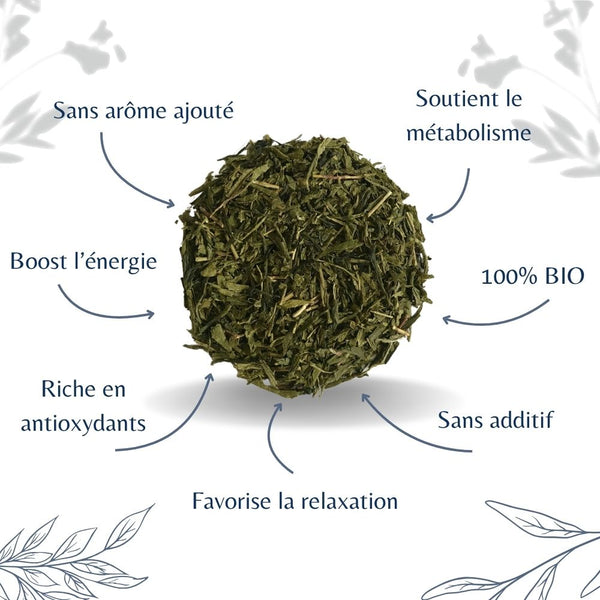Sencha Bio