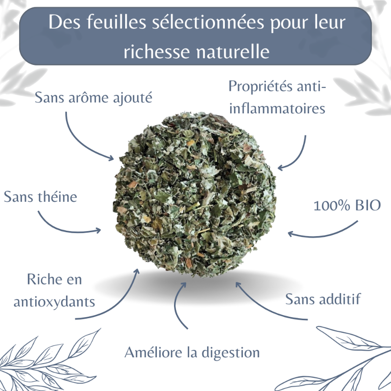 Feuilles de Framboisier Bio
